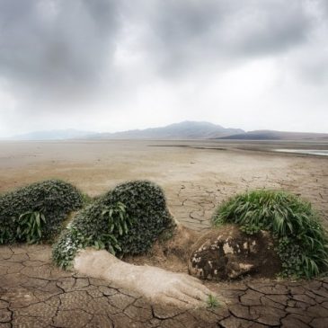les 7 péchés capitaux de l&rsquo;écologisme ou pourquoi il agonise